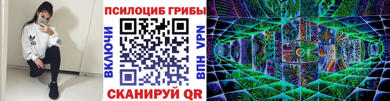 где купить наркотик  Суровикино  мега tor  Галлюциногенные грибы GOLDEN TEACHER 